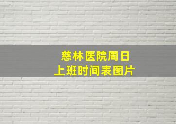 慈林医院周日上班时间表图片