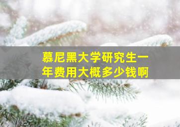 慕尼黑大学研究生一年费用大概多少钱啊