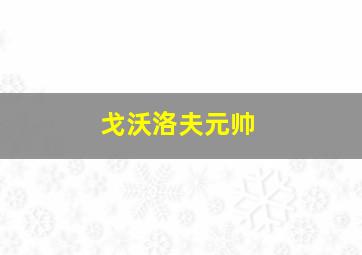 戈沃洛夫元帅