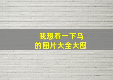 我想看一下马的图片大全大图