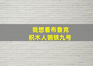 我想看布鲁克积木人钢铁九号