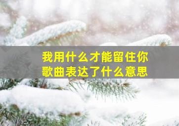 我用什么才能留住你歌曲表达了什么意思