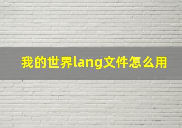 我的世界lang文件怎么用