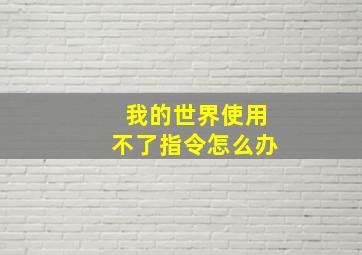 我的世界使用不了指令怎么办