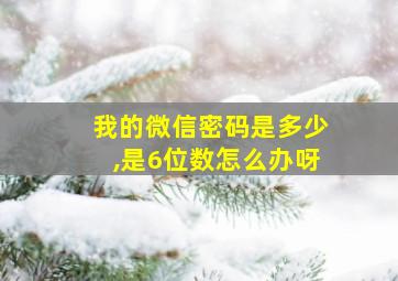 我的微信密码是多少,是6位数怎么办呀