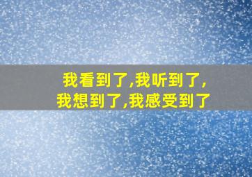 我看到了,我听到了,我想到了,我感受到了