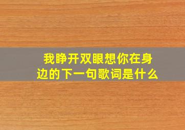 我睁开双眼想你在身边的下一句歌词是什么