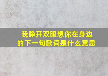 我睁开双眼想你在身边的下一句歌词是什么意思