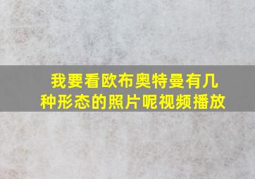 我要看欧布奥特曼有几种形态的照片呢视频播放