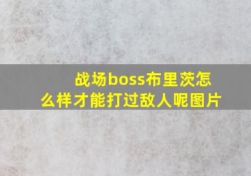 战场boss布里茨怎么样才能打过敌人呢图片