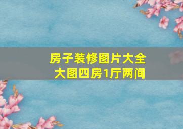 房子装修图片大全大图四房1厅两间