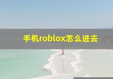 手机roblox怎么进去