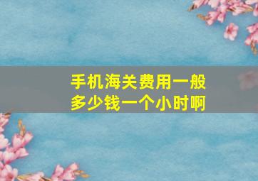 手机海关费用一般多少钱一个小时啊