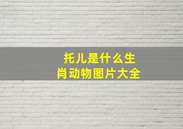 托儿是什么生肖动物图片大全