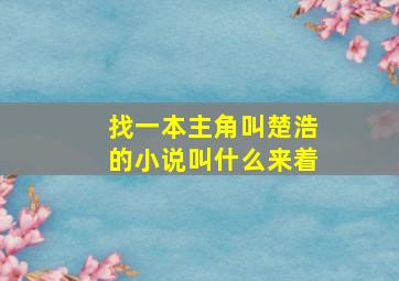 找一本主角叫楚浩的小说叫什么来着