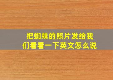 把蜘蛛的照片发给我们看看一下英文怎么说