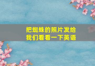 把蜘蛛的照片发给我们看看一下英语