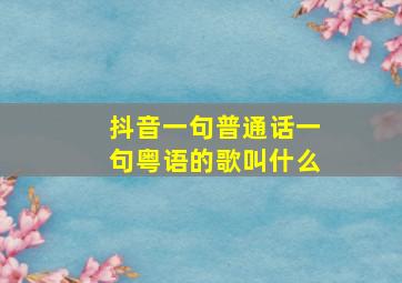 抖音一句普通话一句粤语的歌叫什么