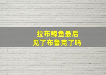 拉布鲸鱼最后见了布鲁克了吗