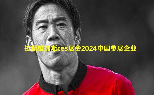 拉斯维加斯ces展会2024中国参展企业