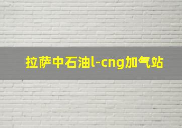 拉萨中石油l-cng加气站