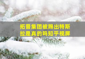 拓普集团被踢出特斯拉是真的吗知乎视屏