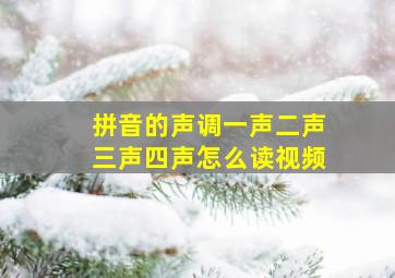 拼音的声调一声二声三声四声怎么读视频