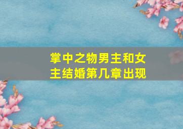 掌中之物男主和女主结婚第几章出现