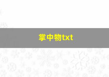 掌中物txt