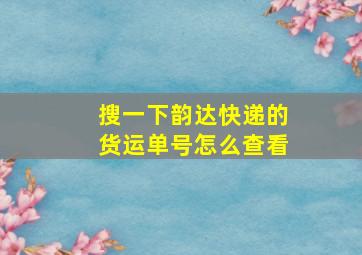 搜一下韵达快递的货运单号怎么查看