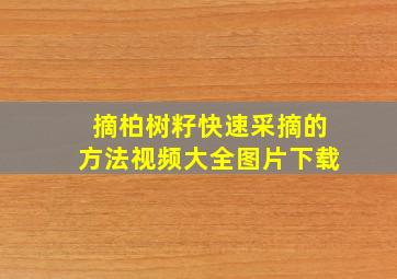 摘柏树籽快速采摘的方法视频大全图片下载