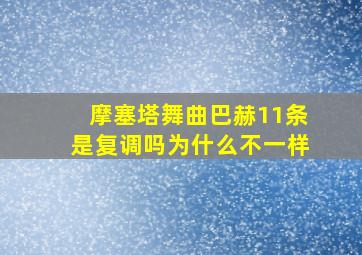 摩塞塔舞曲巴赫11条是复调吗为什么不一样