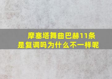 摩塞塔舞曲巴赫11条是复调吗为什么不一样呢