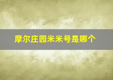 摩尔庄园米米号是哪个