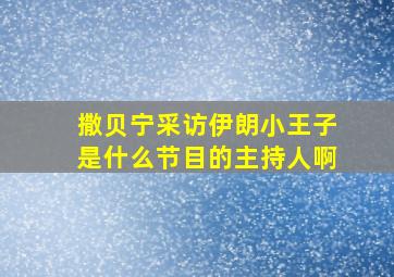 撒贝宁采访伊朗小王子是什么节目的主持人啊