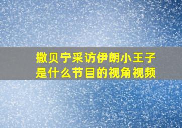 撒贝宁采访伊朗小王子是什么节目的视角视频