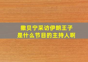 撒贝宁采访伊朗王子是什么节目的主持人啊