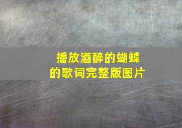 播放酒醉的蝴蝶的歌词完整版图片