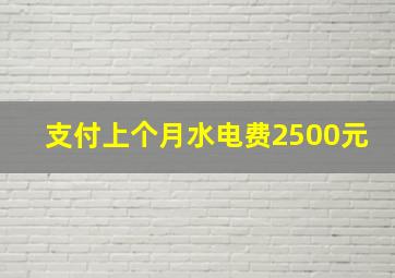 支付上个月水电费2500元