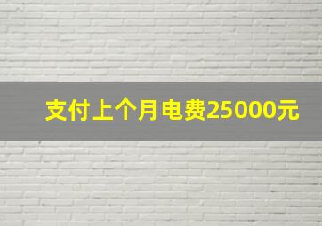 支付上个月电费25000元