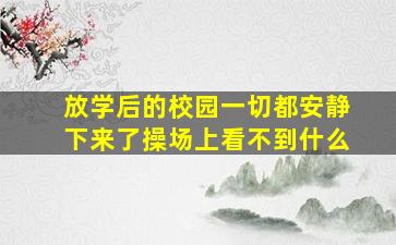 放学后的校园一切都安静下来了操场上看不到什么