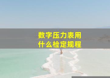 数字压力表用什么检定规程