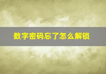 数字密码忘了怎么解锁