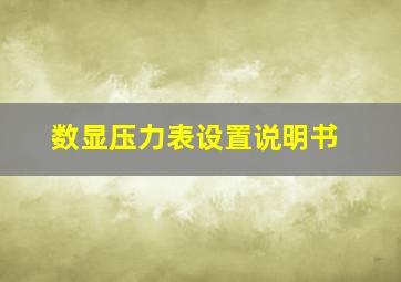 数显压力表设置说明书