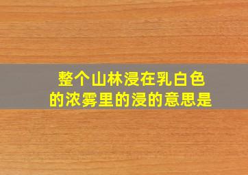 整个山林浸在乳白色的浓雾里的浸的意思是