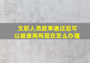 文职人员政审通过后可以被录用吗现在怎么办理