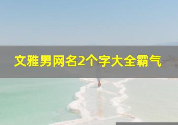 文雅男网名2个字大全霸气