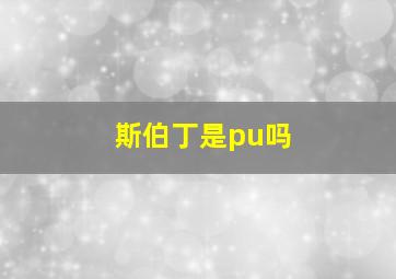 斯伯丁是pu吗