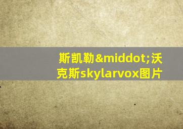 斯凯勒·沃克斯skylarvox图片