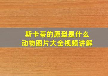 斯卡蒂的原型是什么动物图片大全视频讲解